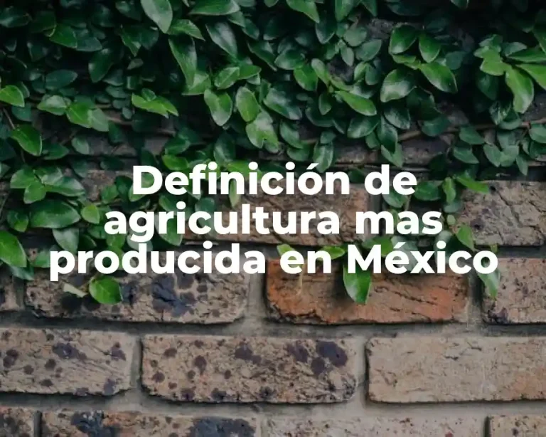 Definición de agricultura mas producida en México