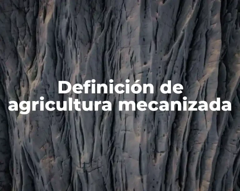 Definición de agricultura mecanizada