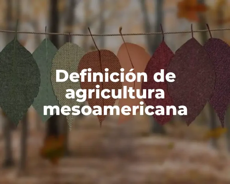 Definición de agricultura mesoamericana