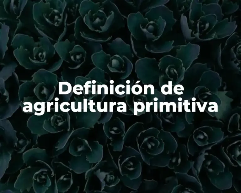 Definición de agricultura primitiva