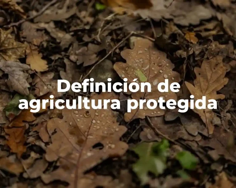 Definición de agricultura protegida