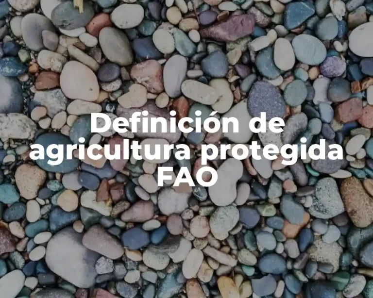 Definición de agricultura protegida FAO