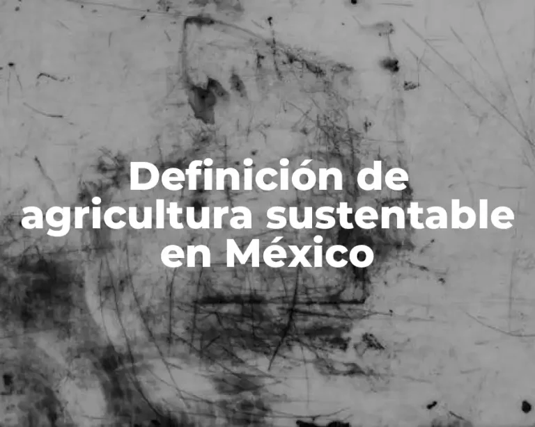 Definición de agricultura sustentable en México