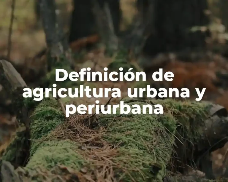 Definición de agricultura urbana y periurbana