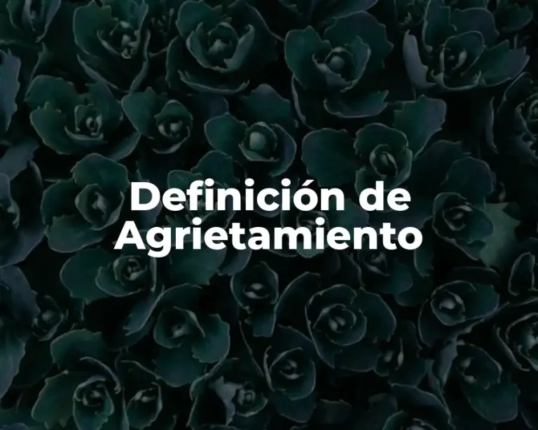 Definición de Agrietamiento