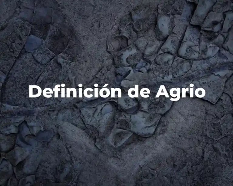 Definición de Agrio