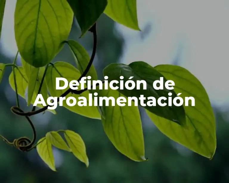 Definición de Agroalimentación