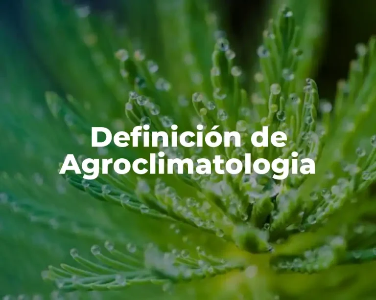 Definición de Agroclimatologia