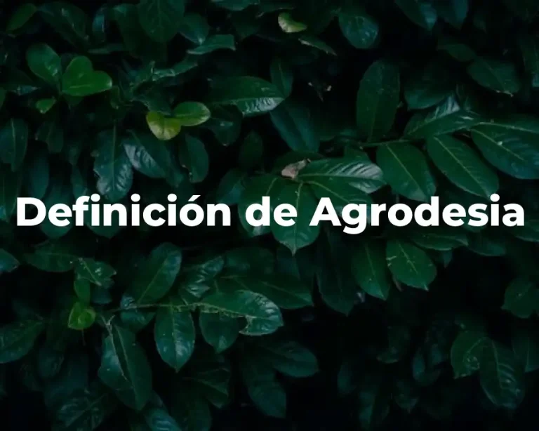 Definición de Agrodesia