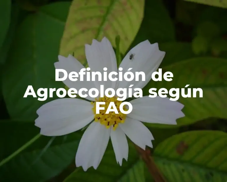 Definición de Agroecología según FAO