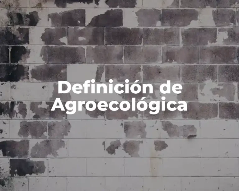 Definición de Agroecológica