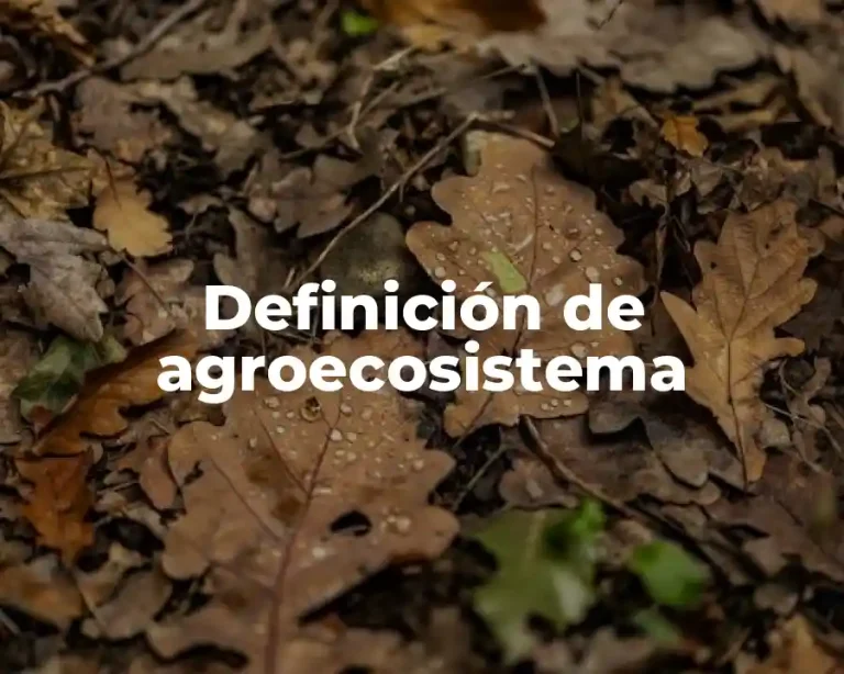 Definición de agroecosistema