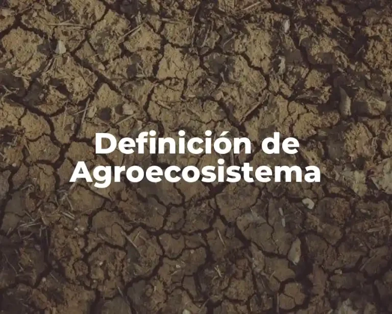 Definición de Agroecosistema
