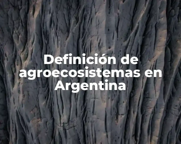 Definición de agroecosistemas en Argentina