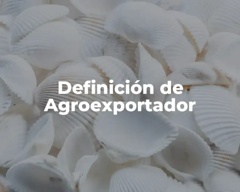 Definición de Agroexportador