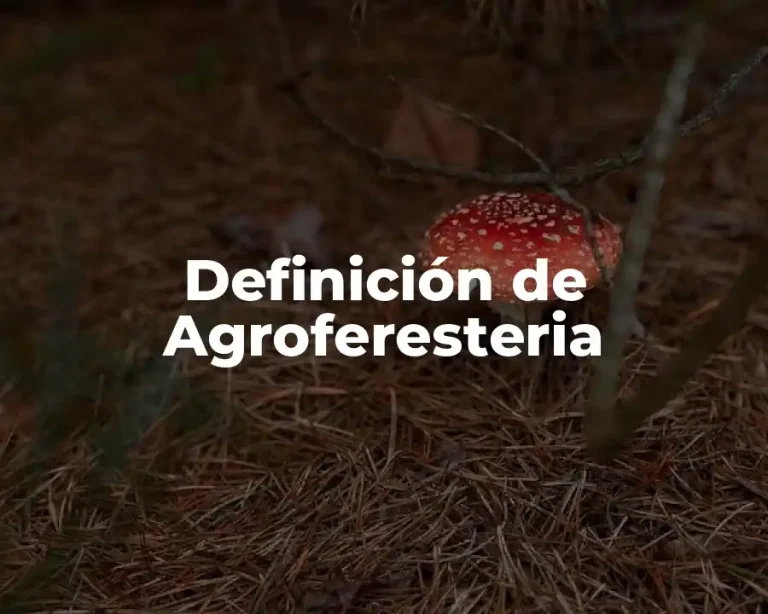 Definición de Agroferesteria