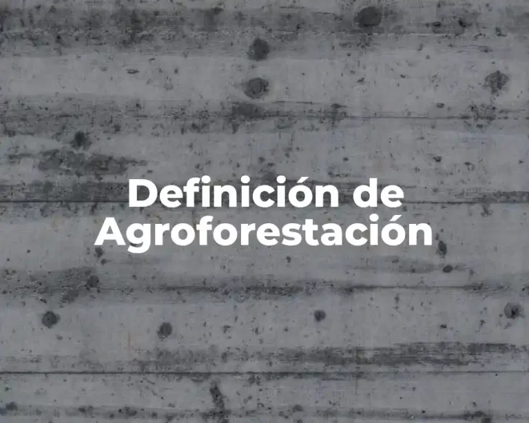 Definición de Agroforestación