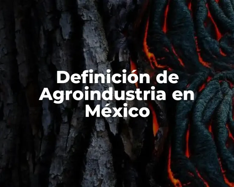 Definición de Agroindustria en México