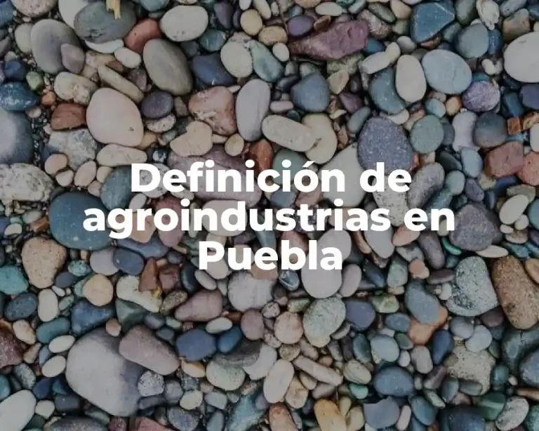 Definición de agroindustrias en Puebla