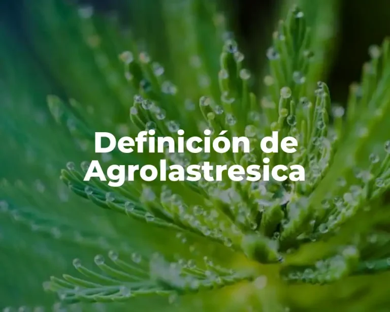 Definición de Agrolastresica