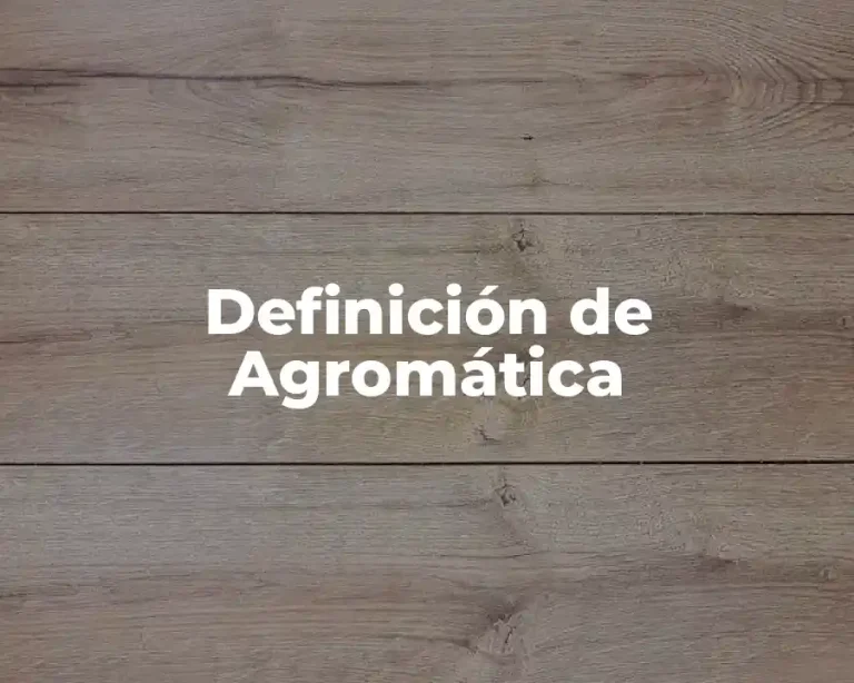 Definición de Agromática