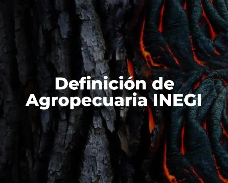 Definición de Agropecuaria INEGI