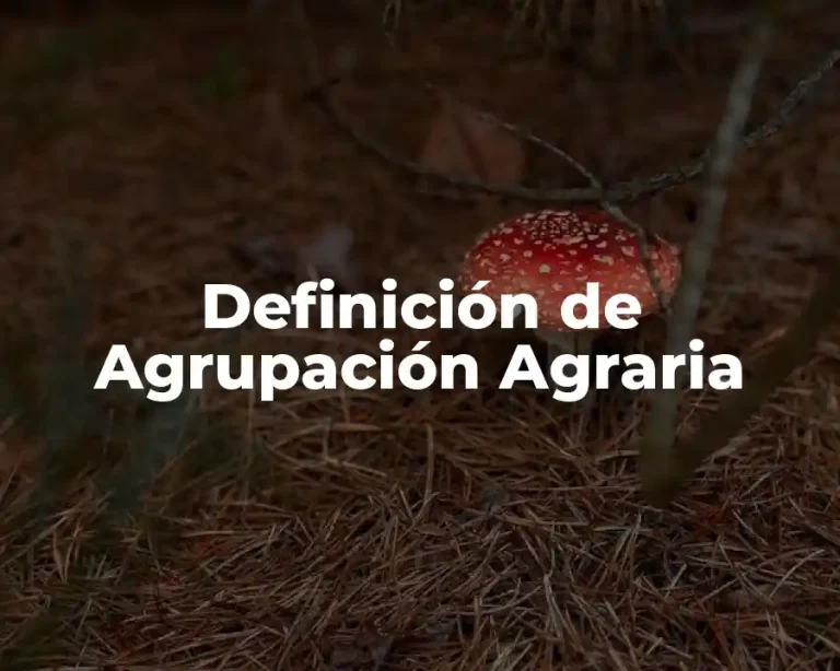 Definición de Agrupación Agraria