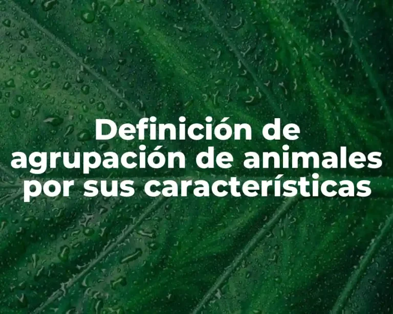 Definición de agrupación de animales por sus características