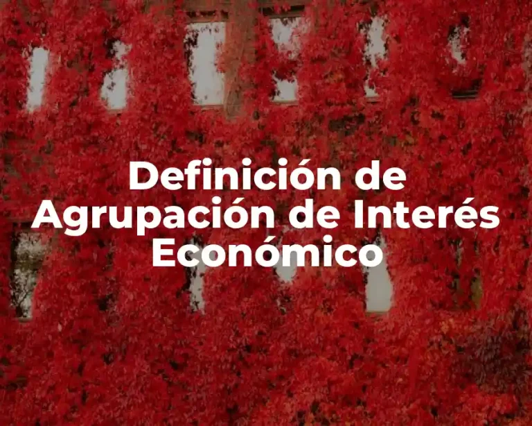 Definición de Agrupación de Interés Económico