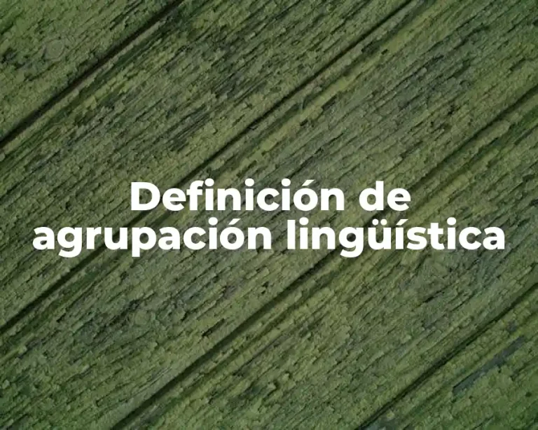 Definición de agrupación lingüística