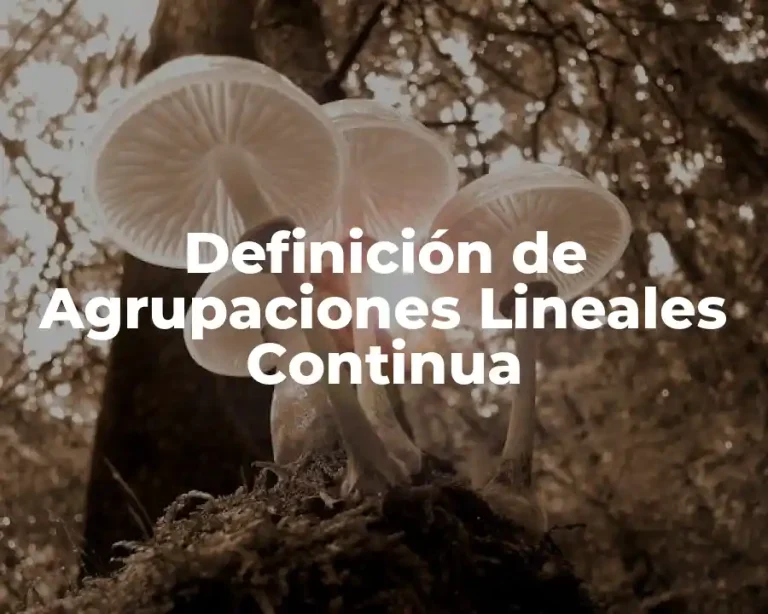 Definición de Agrupaciones Lineales Continua