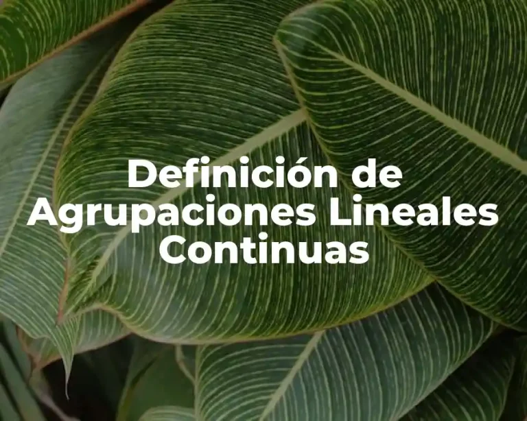 Definición de Agrupaciones Lineales Continuas