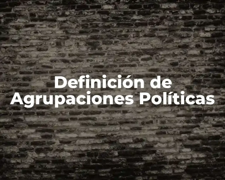Definición de Agrupaciones Políticas