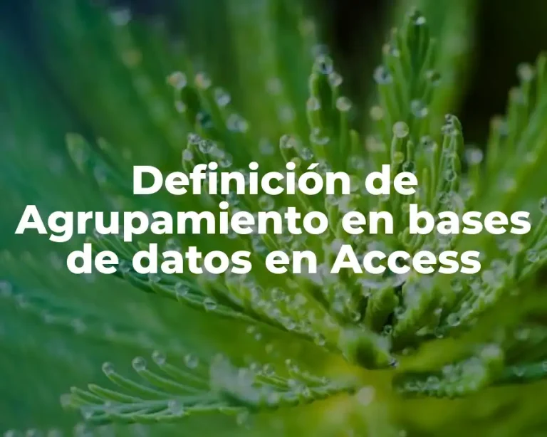 Definición de Agrupamiento en bases de datos en Access