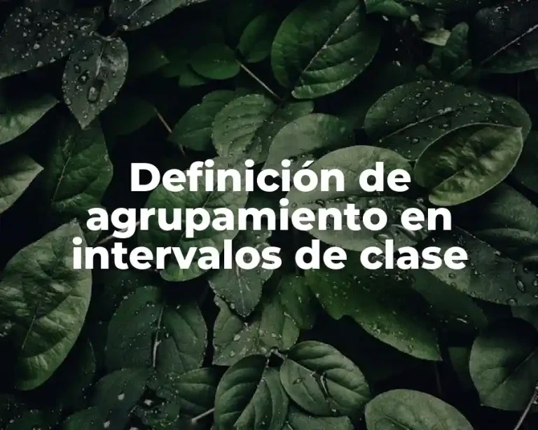 Definición de agrupamiento en intervalos de clase