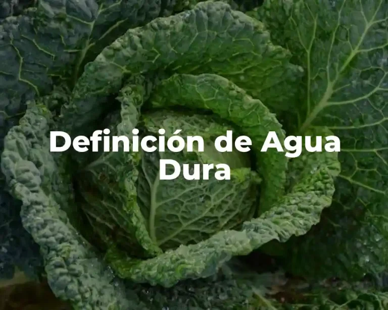 Definición de Agua Dura