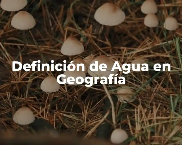 Definición de Agua en Geografía