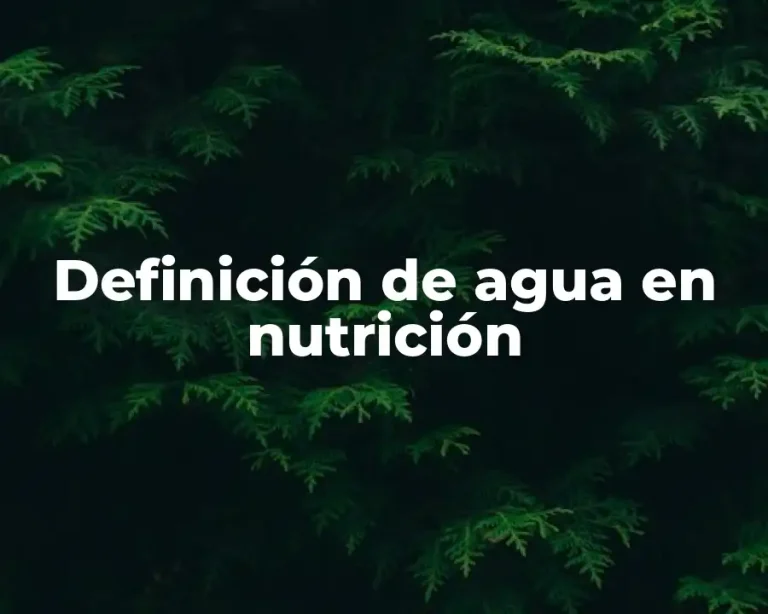Definición de agua en nutrición