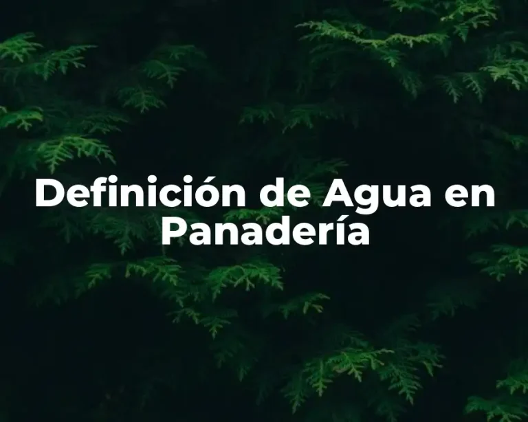 Definición de Agua en Panadería