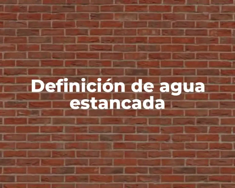 Definición de agua estancada