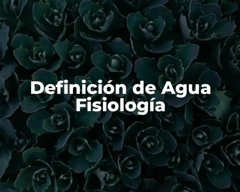 Definición de Agua Fisiología