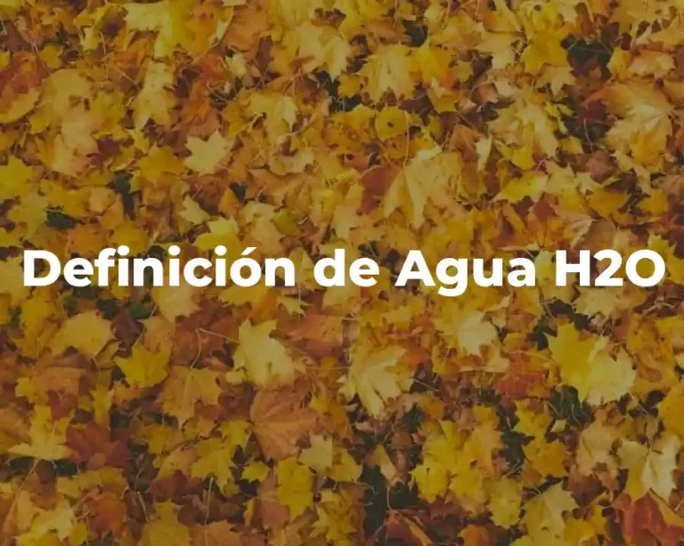 Definición de Agua H2O