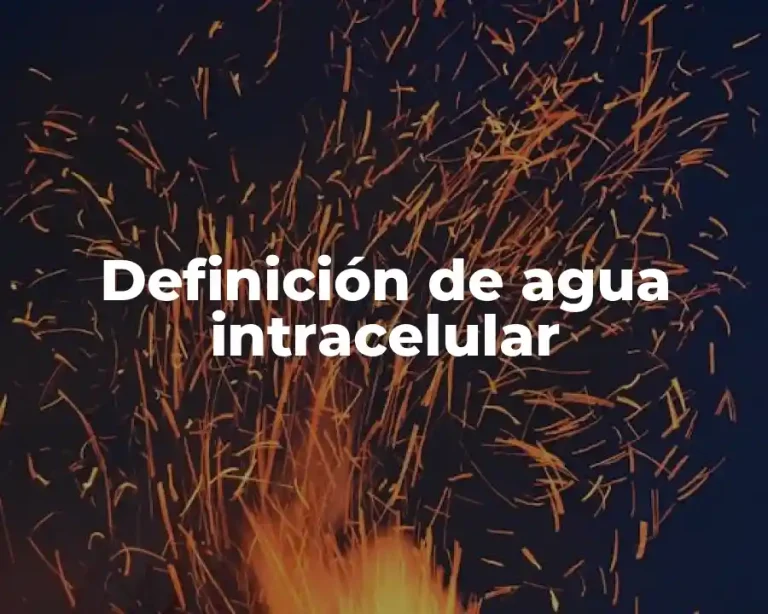 Definición de agua intracelular