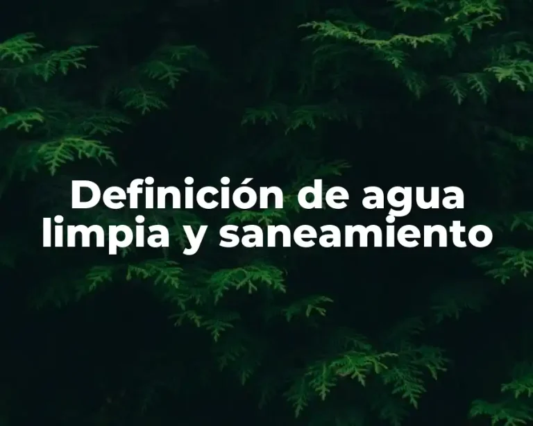 Definición de agua limpia y saneamiento