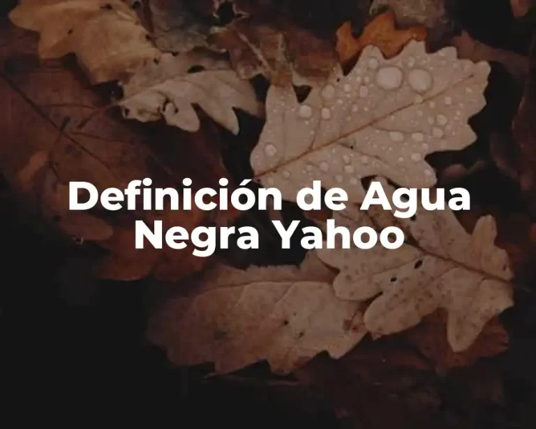 Definición de Agua Negra Yahoo
