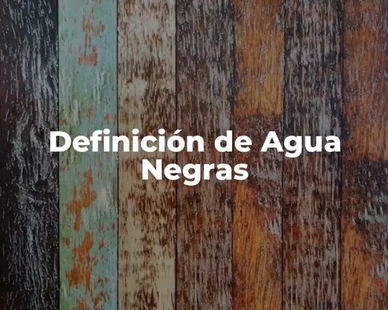 Definición de Agua Negras