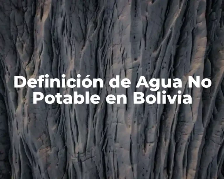 Definición de Agua No Potable en Bolivia
