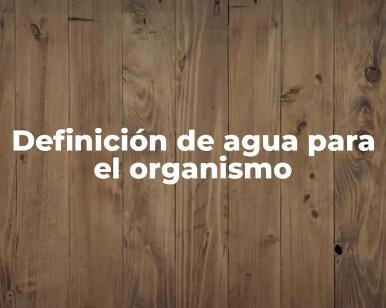 Definición de agua para el organismo