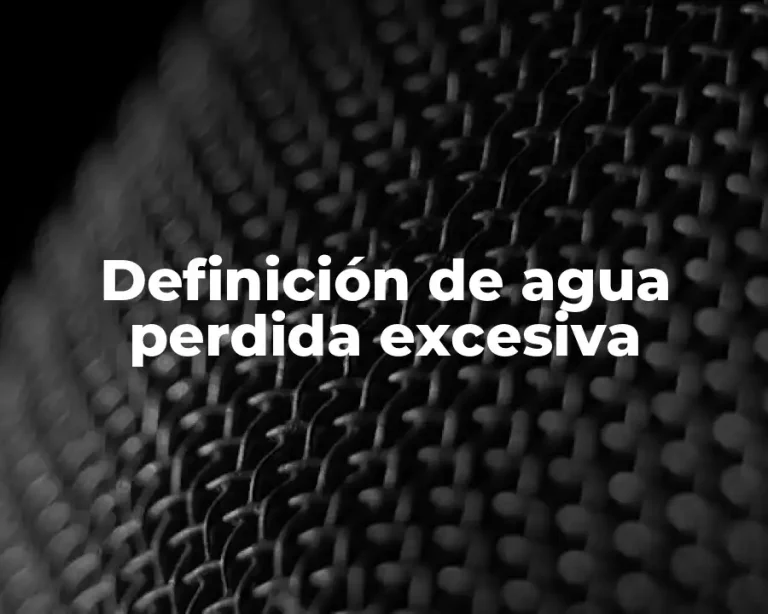 Definición de agua perdida excesiva