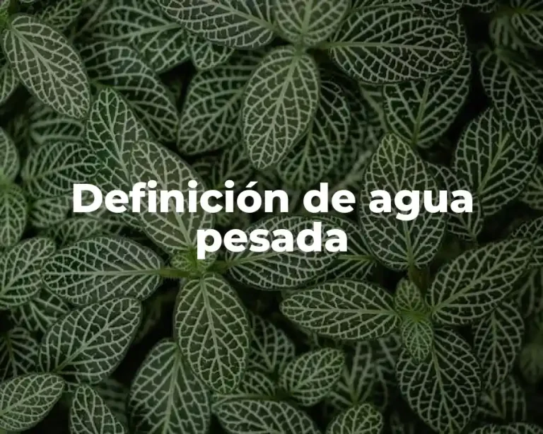 Definición de agua pesada